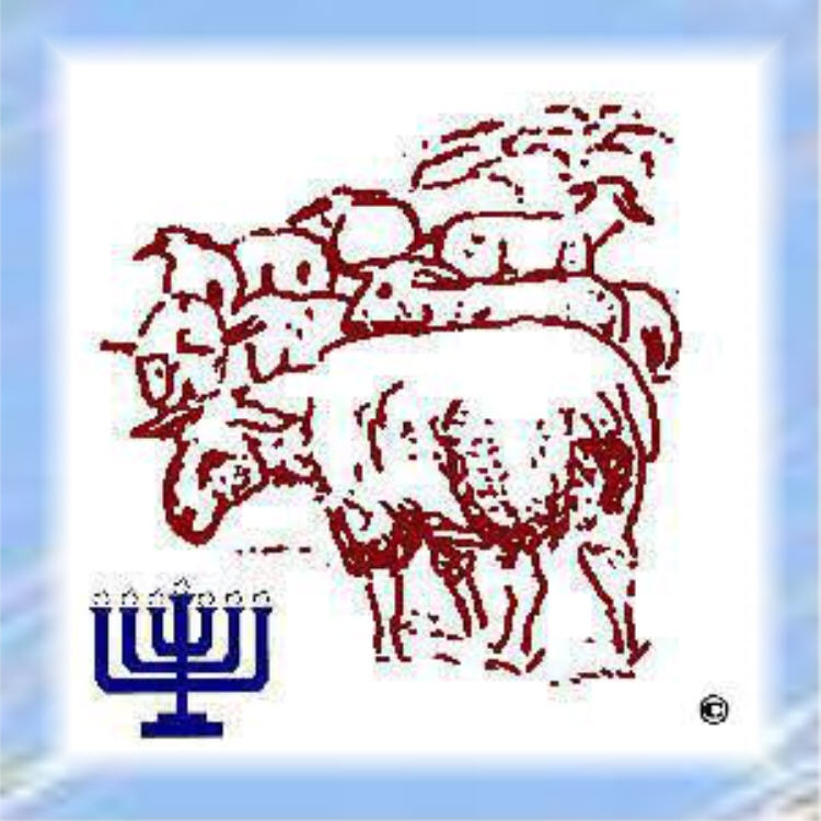 The Biblical Menorah of Exodus 25 should appear here.